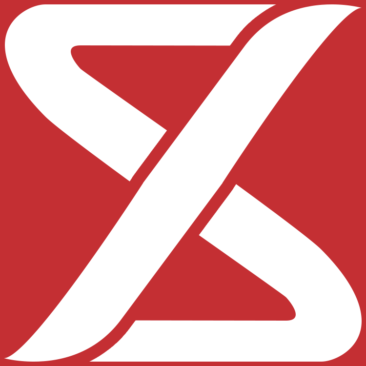 StandardX Concept Logo 2