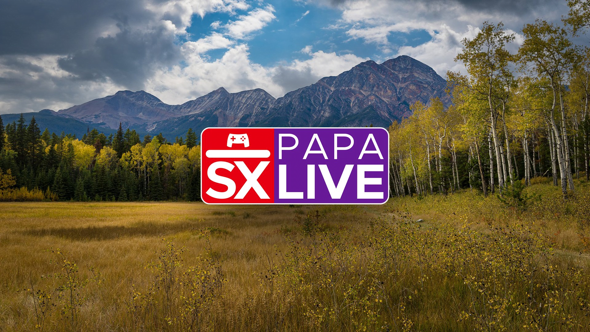papa-live_logo